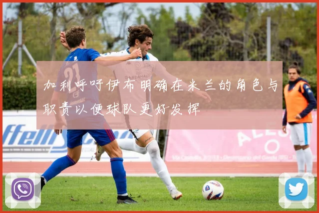 加利呼吁伊布明确在米兰的角色与职责以便球队更好发挥