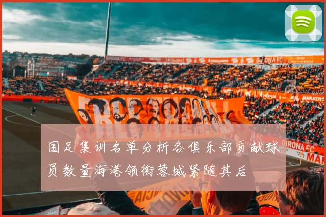 国足集训名单分析各俱乐部贡献球员数量海港领衔蓉城紧随其后